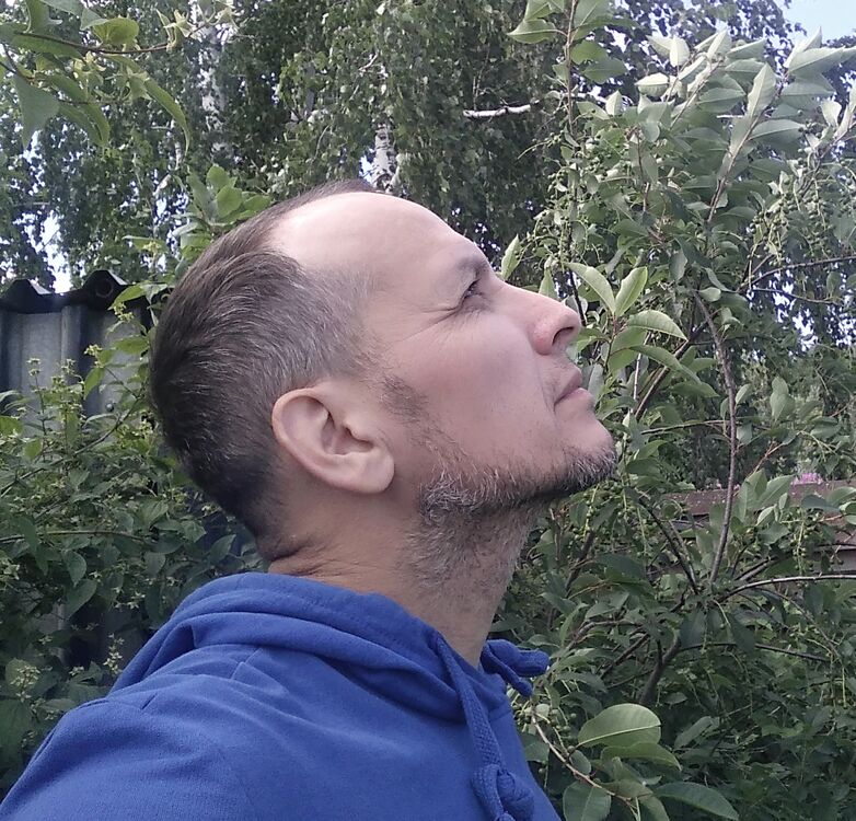  53027697  , 44 ,    