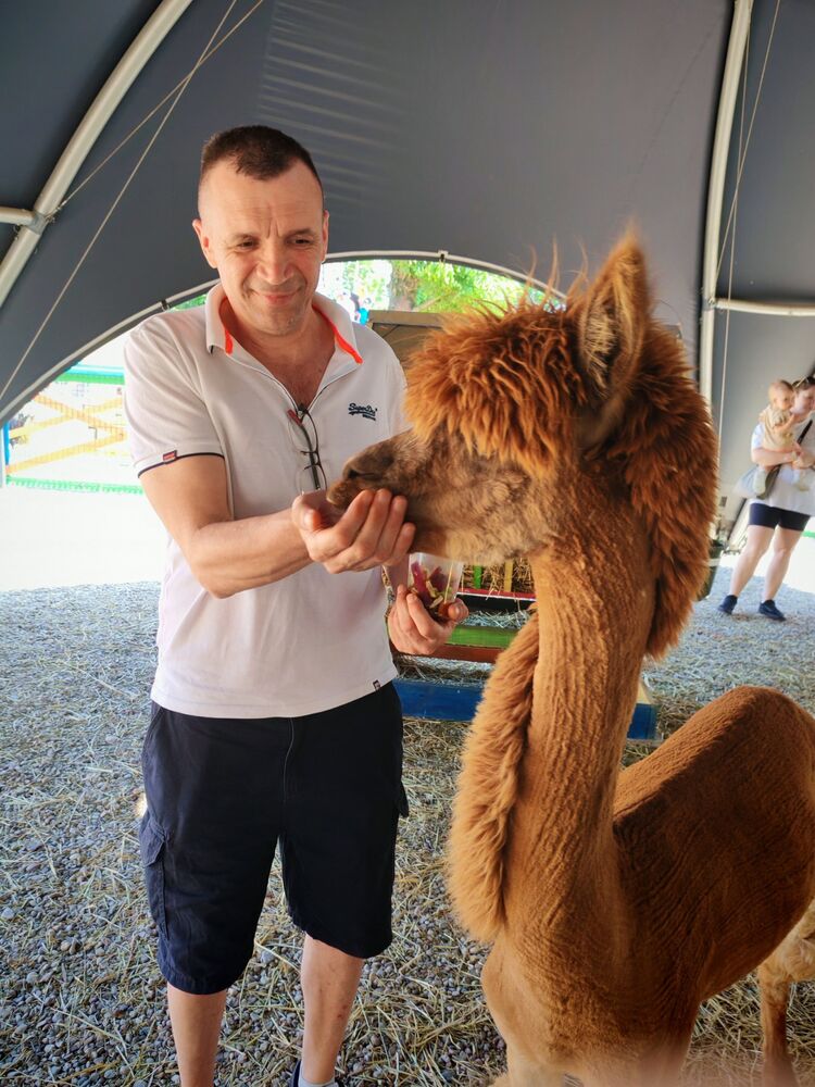 ���� 52114427 ������� ������, 52 ����, ���� ���������� � ��������