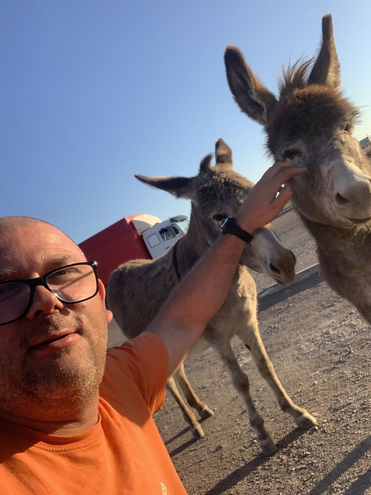 ���������� ������, ���� ������� �������, 46 ���, ������������ ��� c�������� ���������