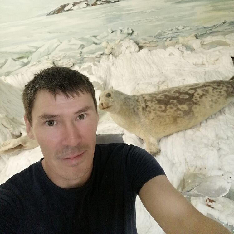 ���� 23677367 ������� ����, 41 ���, ���� ���������� � �������