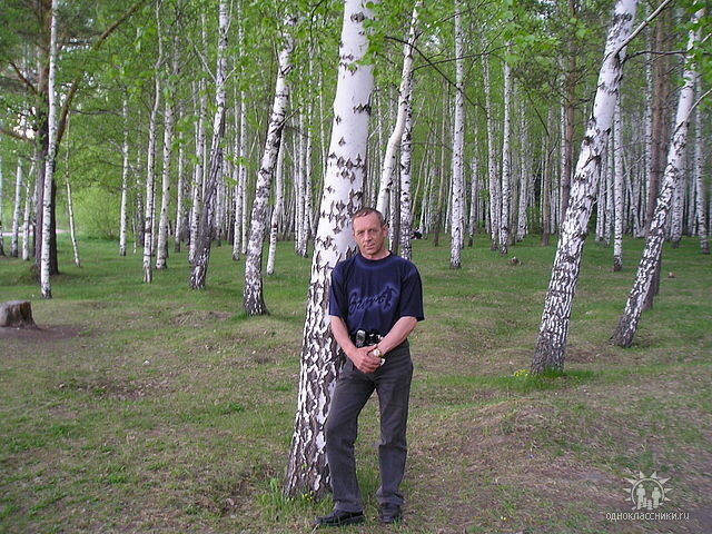  ,   , 75 ,   
