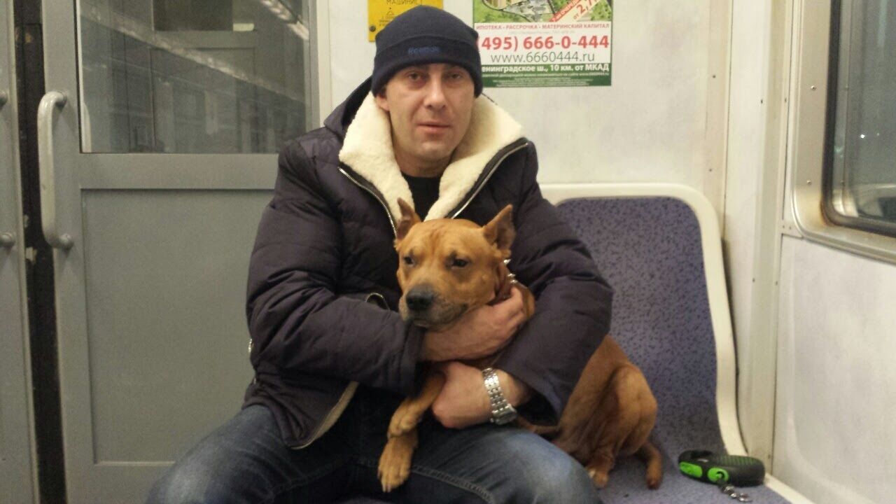 ���������� �������, ���� ������� ������, 48 ���, ������������ ��� c�������� ���������