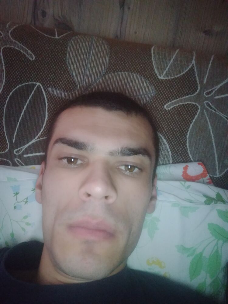 ���������� ���������, ���� ������� Robert, 29 ���, ������������ ��� ������