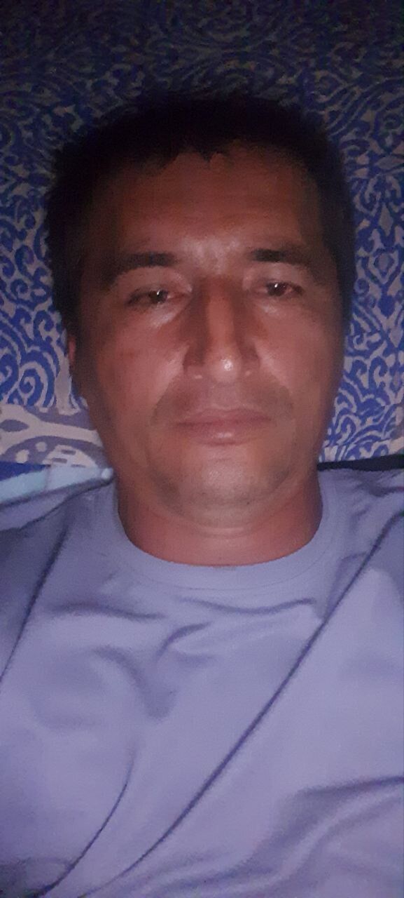  53259667  , 38 ,    
