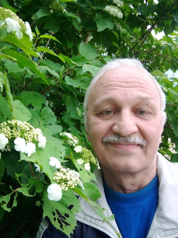  ,   , 65 ,   ,   