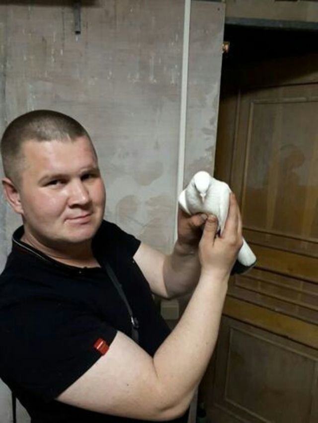 ���������� ��������, ���� ������� �������, 37 ���, ������������ ��� ������, ����� � ���������, c�������� ���������