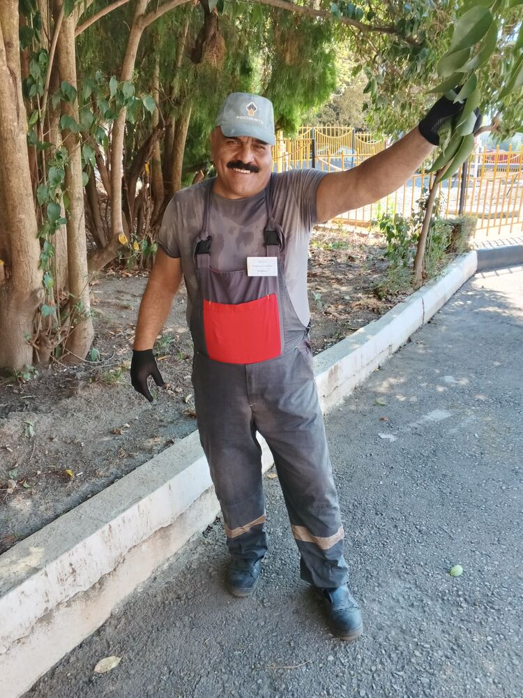  ,   , 62 ,   ,   