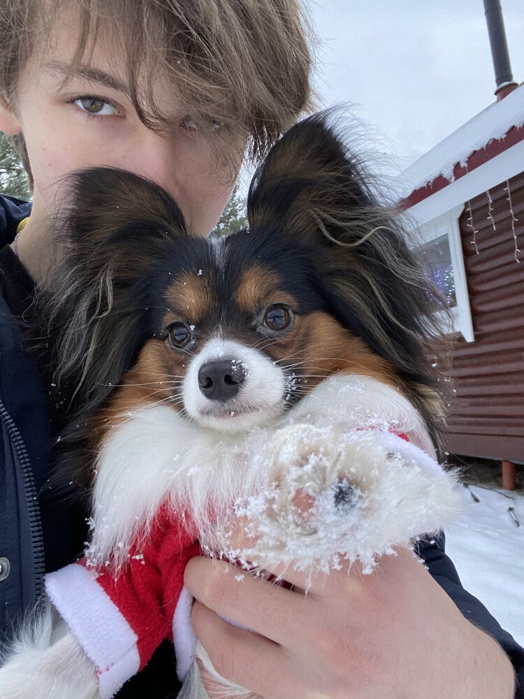 ���� 50078447 ����� �������, 20 ���, ���� ���������� � �����-����������