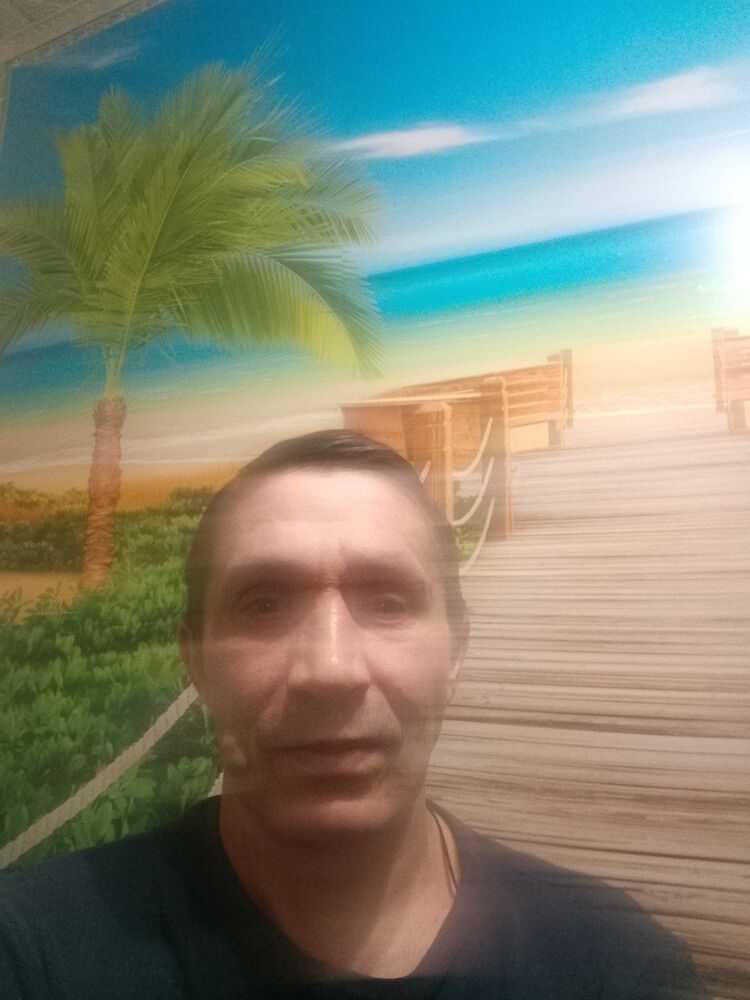  50727577  , 43 ,    