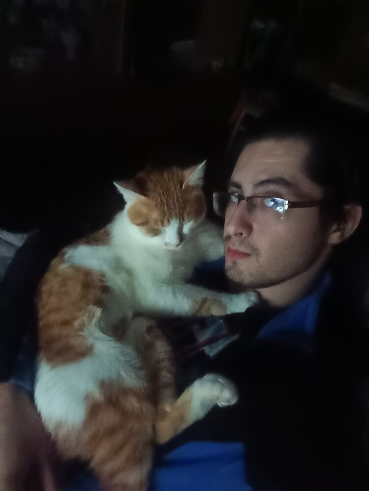 ���������� ���������, ���� ������� ����, 26 ���, ������������ ��� ������, ����� � ���������, c�������� ���������, ���������