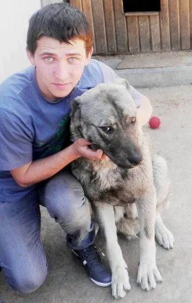 ���� 30176567 ������� Zlodey, 34 ����, ���� ���������� � �����