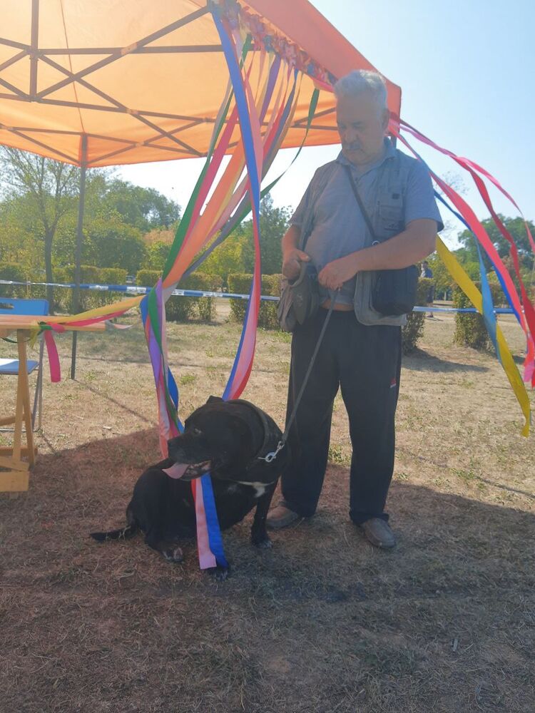 ���� 49716957 ������� �������, 62 ����, ���� ���������� � ���������