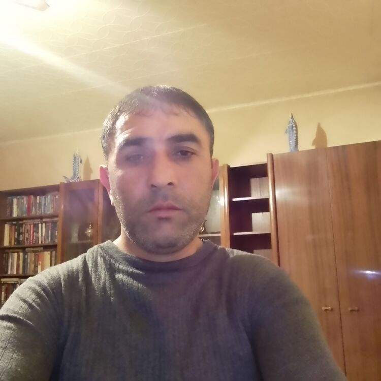  46362117  , 48 ,    