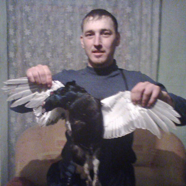 ���� 11414617 ������� �����, 37 ���, ���� ���������� � ������