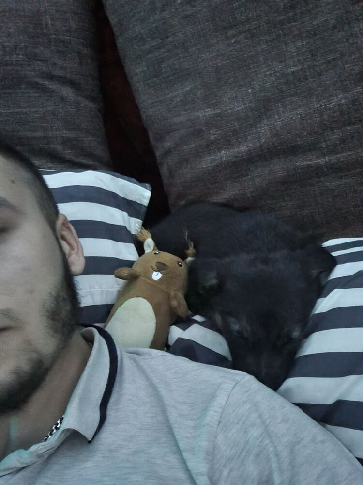  29896917  , 26 ,    -