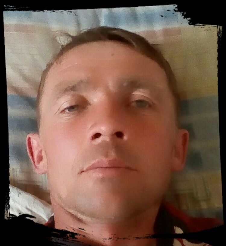  9841837  , 45 ,    