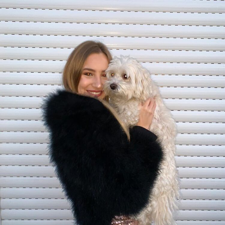 ���� 43488277 ������� ����, 30 ���, ���� ���������� � ������