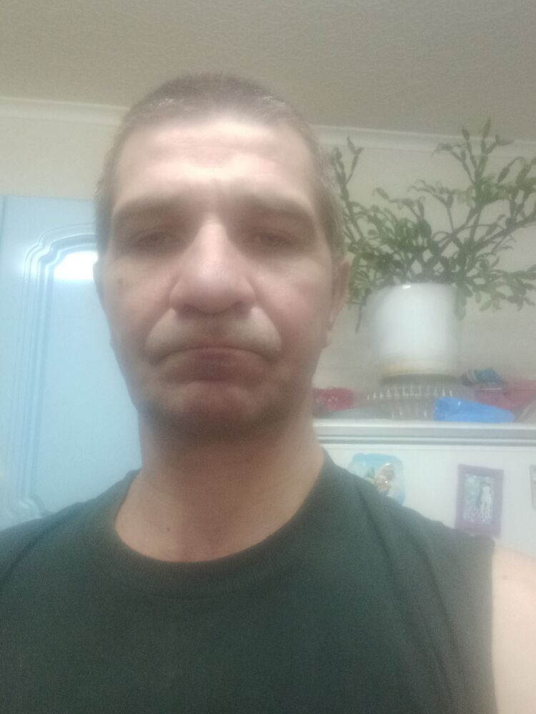  24281177  , 55 ,    
