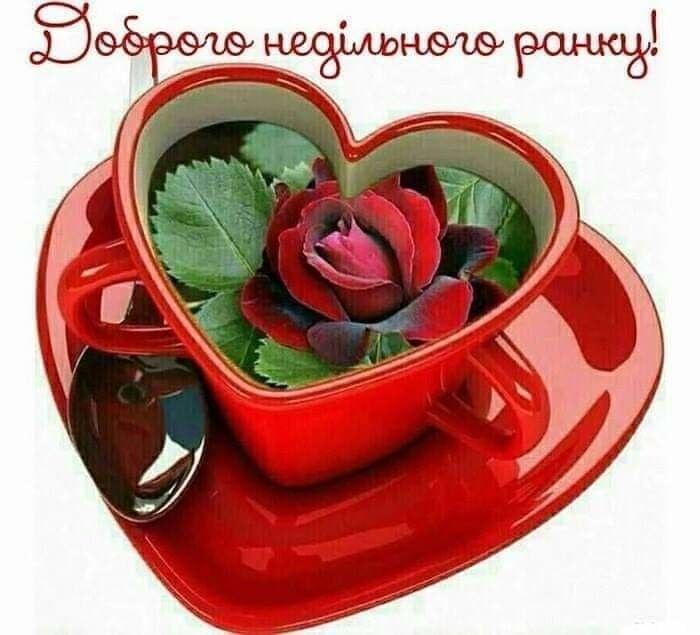 ���������� ��������������, ���� ������� �����, 50 ���, ������������ ��� ������, ����� � ���������, c�������� ���������