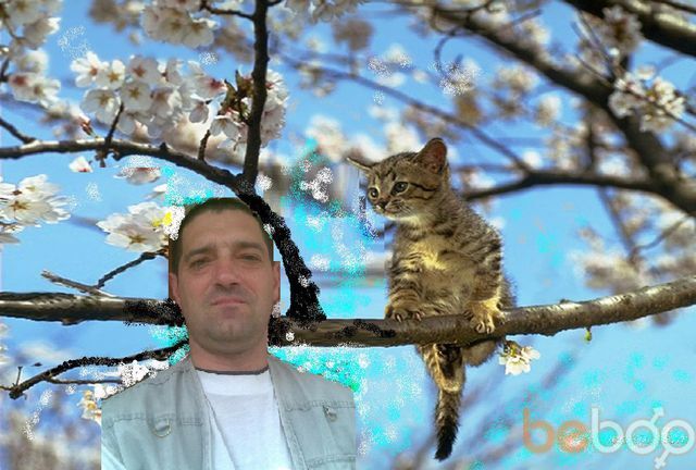  ,   , 53 ,     , c 