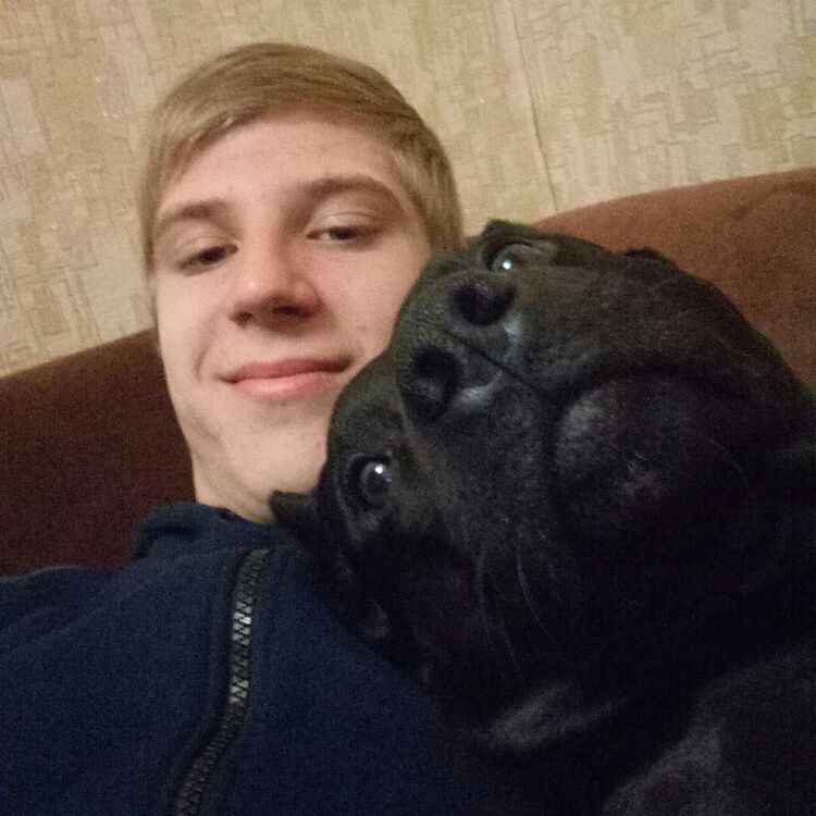   ,   , 28 ,  