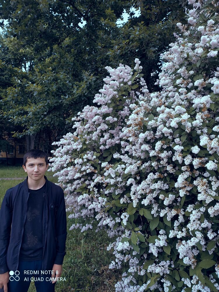 ���� 23373177 ����� Bobur, 23 ����, ���� ���������� � �����-����������