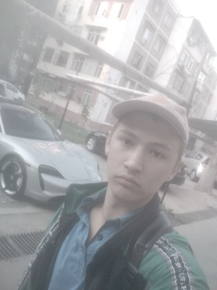 ���� 31674707 ������� Zebra, 28 ���, ���� ���������� � ��������