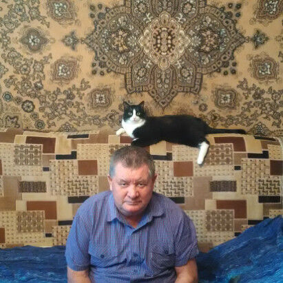  ,   VIKTOR, 74 ,   ,   , c 