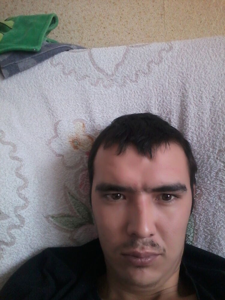  15065047  , 31 ,    