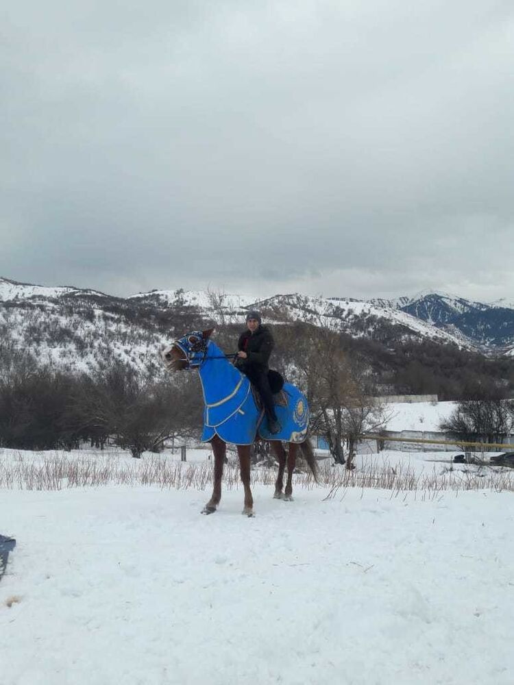 ���������� ��������, ���� ������� ����, 37 ���, ������������ ��� ������