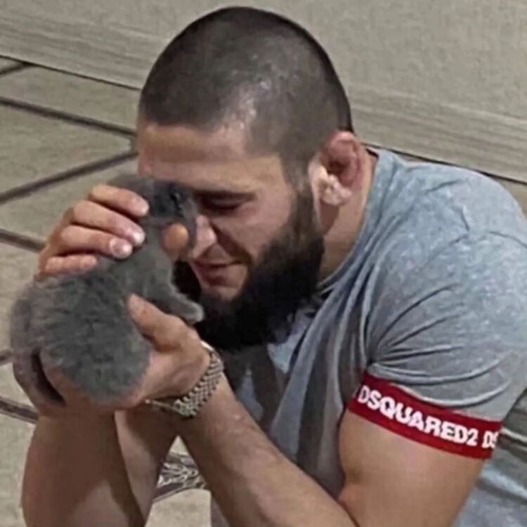 ���� 47091767 ������� Jolene, 33 ����, ���� ���������� � ������