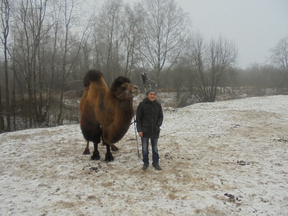 ���� 11164507 ������� �����, 46 ���, ���� ���������� � �����-����������