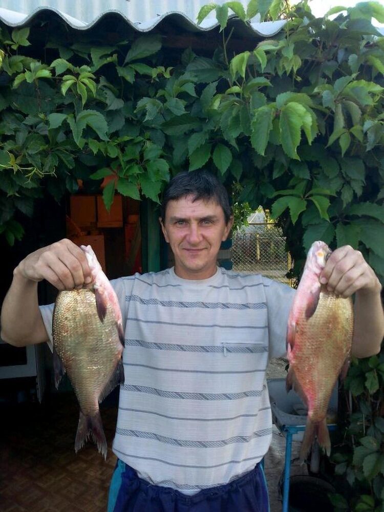 ���� 7336717 ������� ����, 53 ����, ���� ���������� � ���������