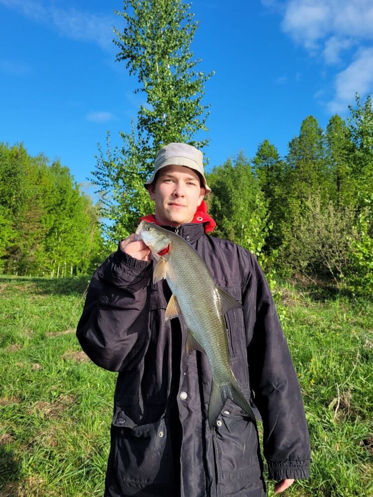 ���������� ������, ���� ����� ����, 21 ���, ������������ ��� ������, ����� � ���������, c�������� ���������