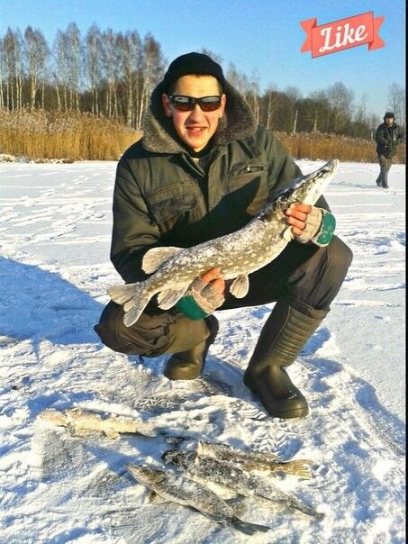 ���������� �����, ���� ������� ����, 31 ���, ������������ ��� ������, ����� � ���������, c�������� ���������