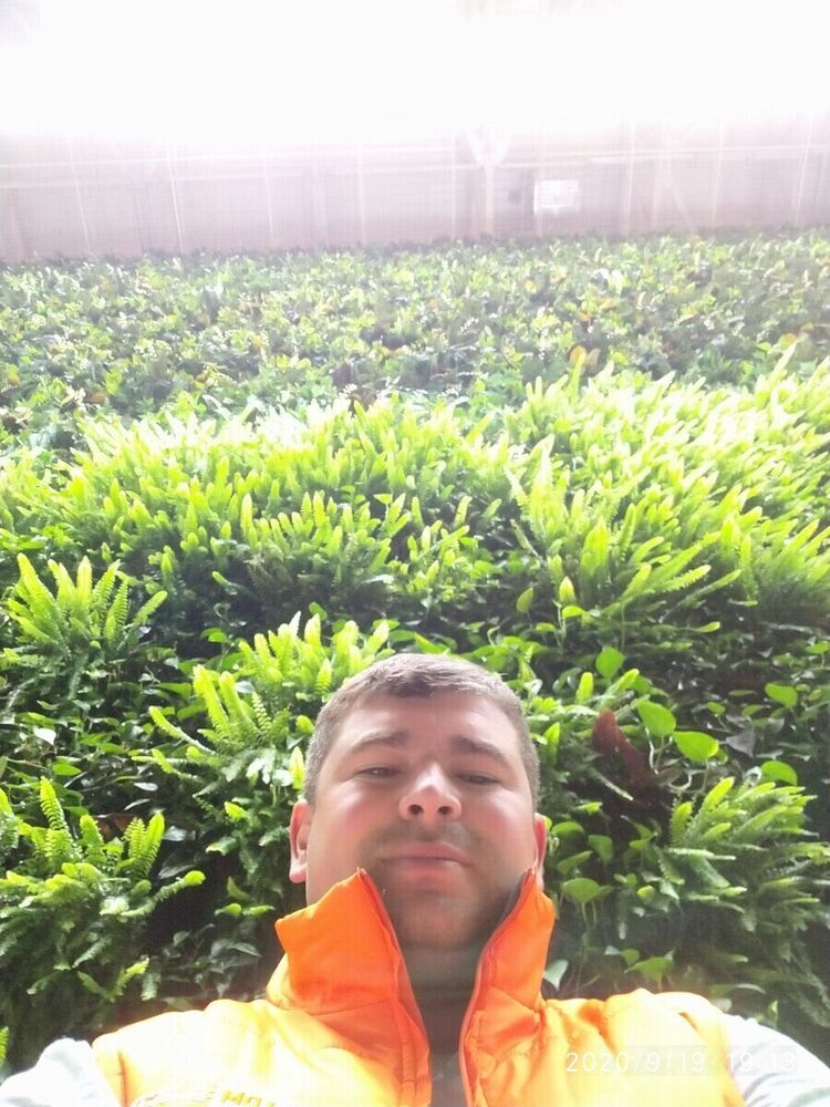 ���� 21325257 ������� ����, 29 ���, ���� ���������� � �����������