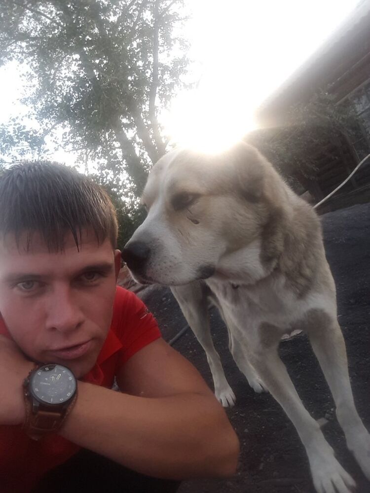 ���� 17644307 ������� �����, 30 ���, ���� ���������� � ����