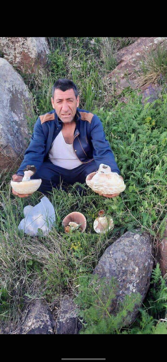  ,   , 60 ,   ,   