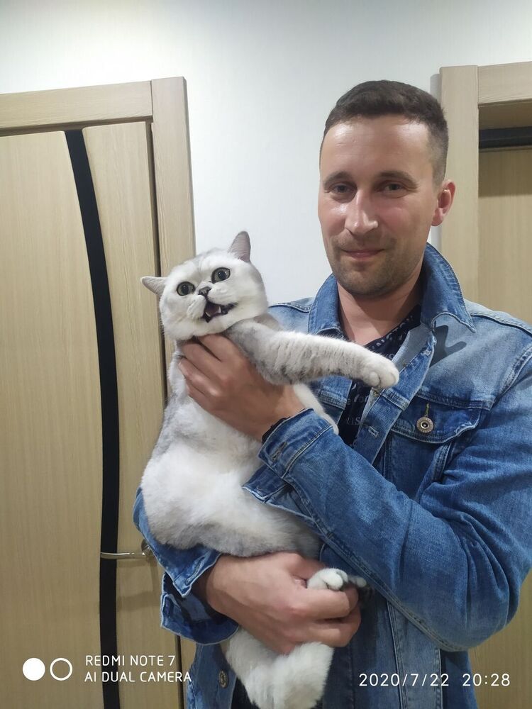 ���� 27130647 ������� ����, 43 ����, ���� ���������� � ������