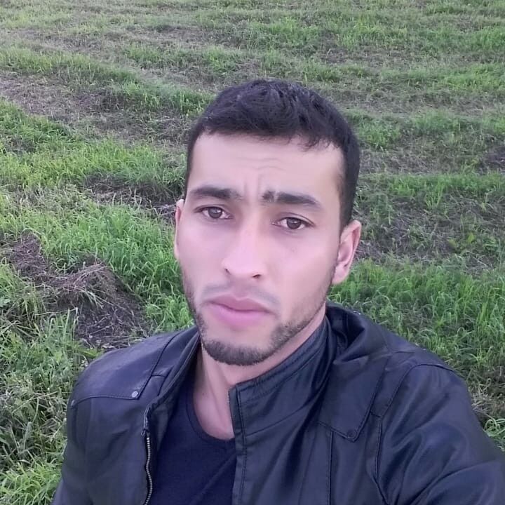  17314587  , 33 ,    