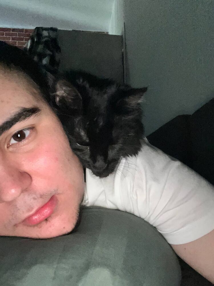 ���� 52796047 ����� ����, 22 ����, ���� ���������� � ������������