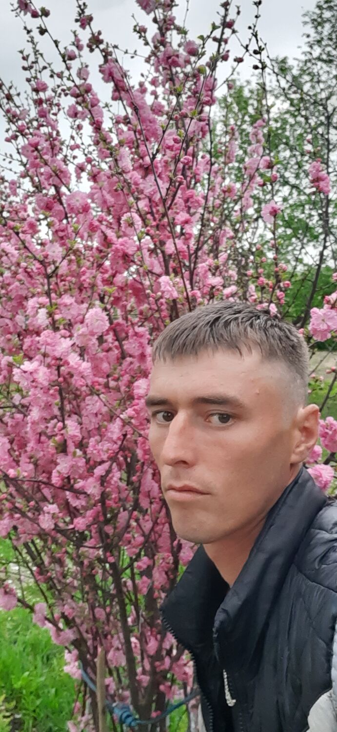 ���� 28890237 ������� ��������, 33 ����, ���� ���������� � �������