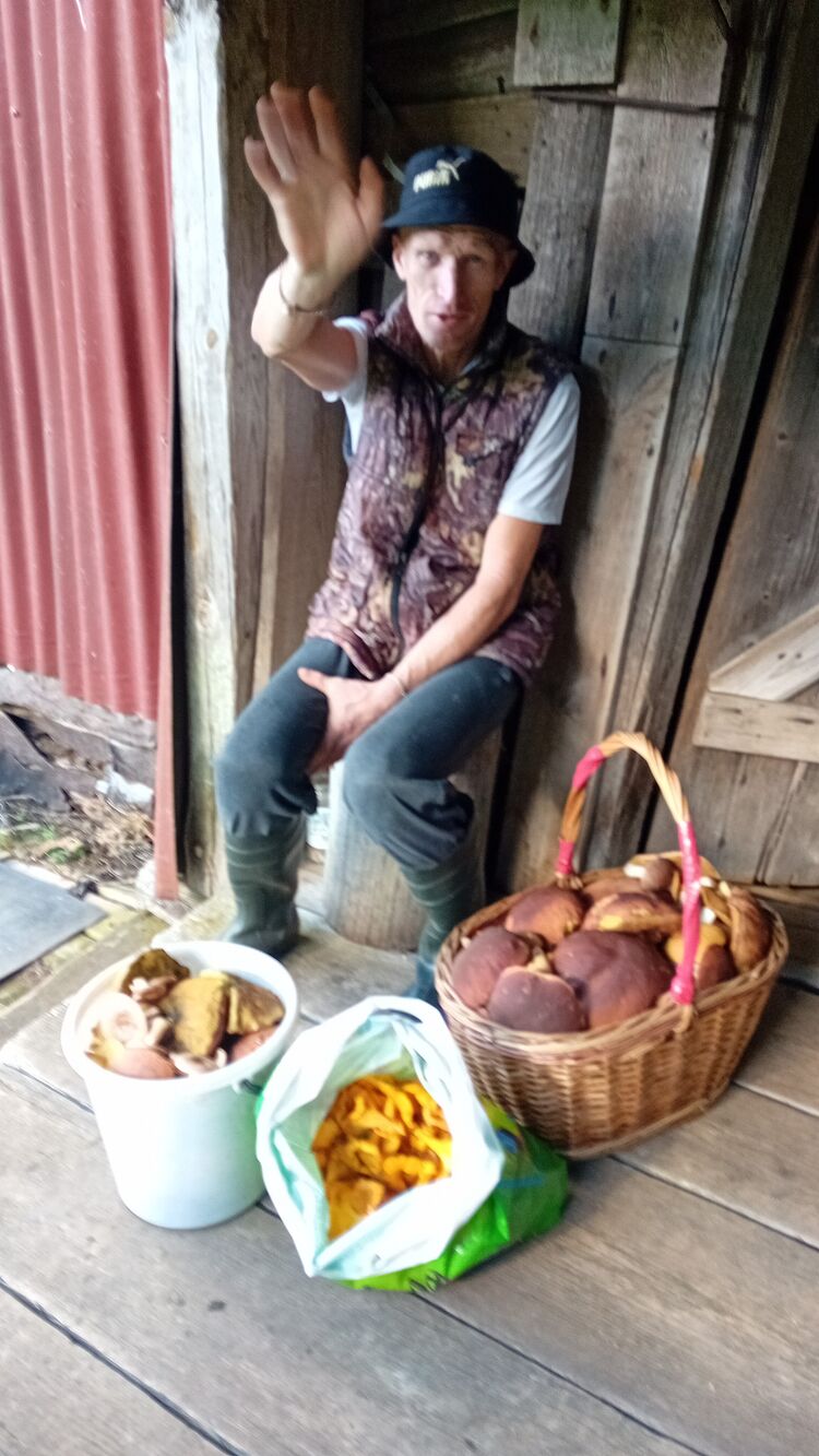 ���������� �����-���������, ���� ������� �������, 46 ���, ������������ ��� ������, ����� � ���������