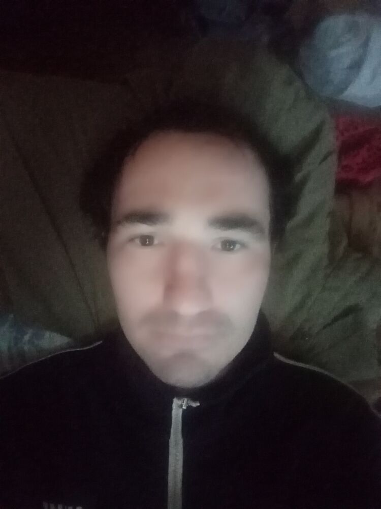  31366817  , 32 ,    