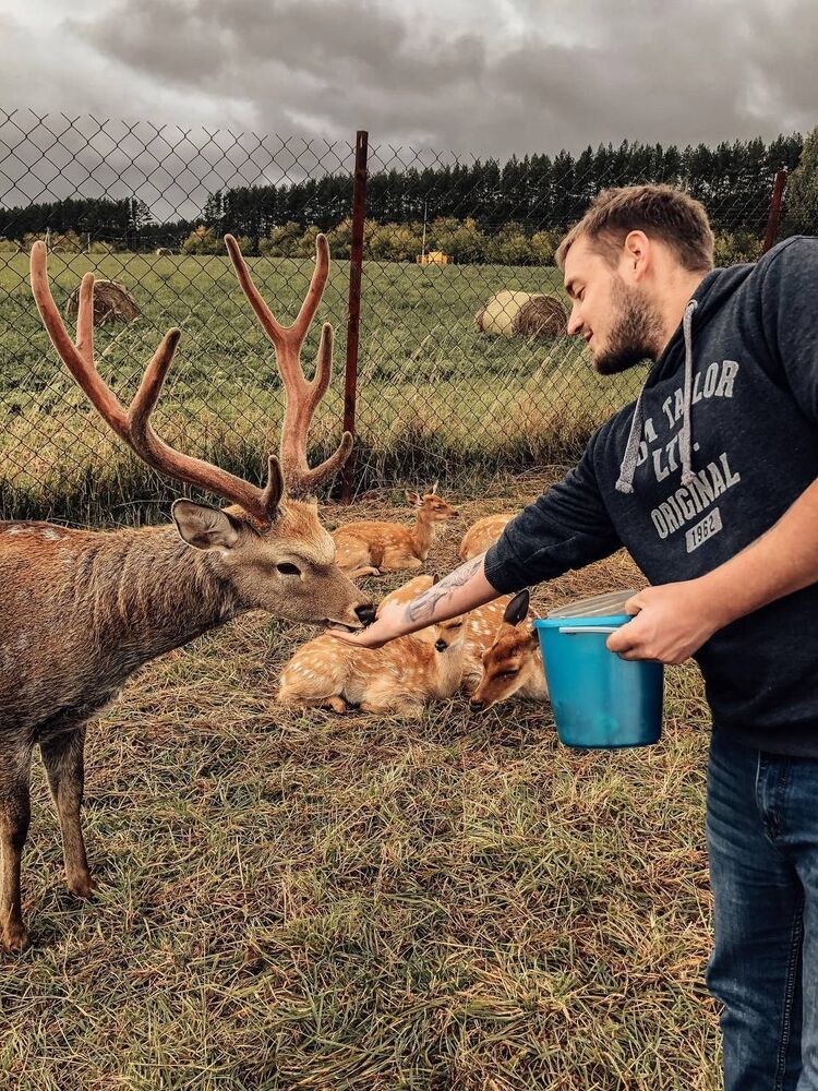 ���� 37145307 ������� �����, 32 ����, ���� ���������� � ������