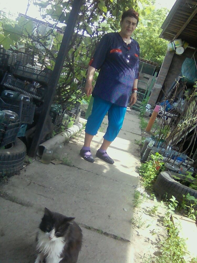  23347677  , 76 ,    --