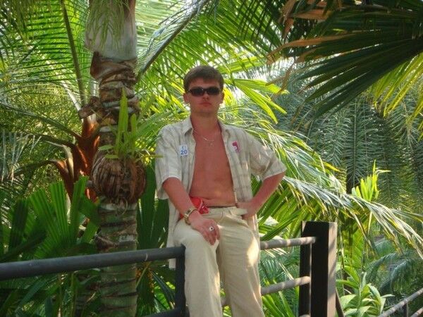 ���� 4441197 ������� NUMBE ONE, 37 ���, ���� ���������� � ������