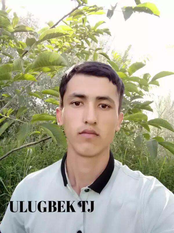 ���� 24490537 ����� ULUGBEK, 25 ���, ���� ���������� � �����-����������