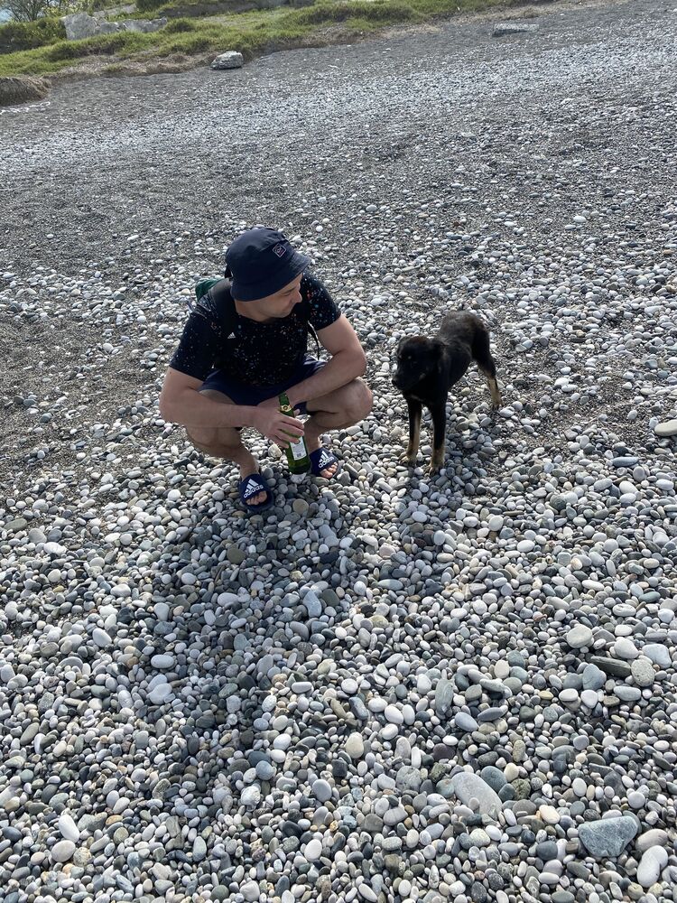 ���������� ���������, ���� ������� ����, 31 ���, ������������ ��� ������, ����� � ���������