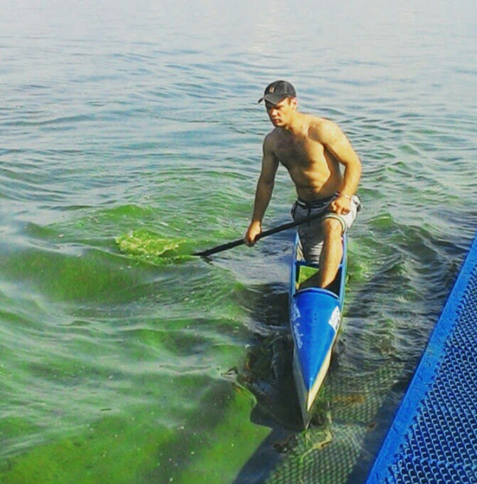  51789157  , 31 ,    --